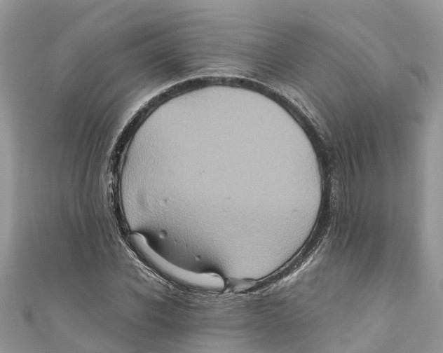 X0000110990926200907171749