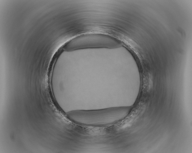 X0000110990928200907171749