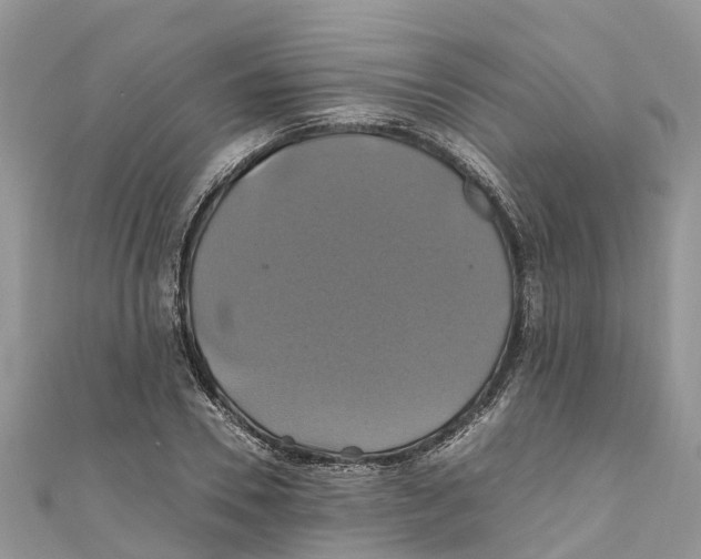 X0000110990930200907171749