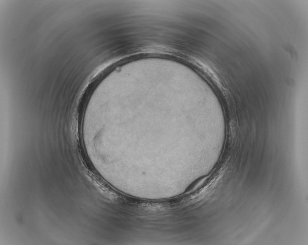 X0000110990931200907171749