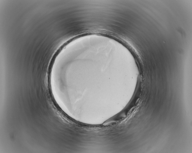 X0000110990932200907171749