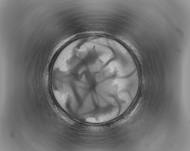 X0000110990933200907171749