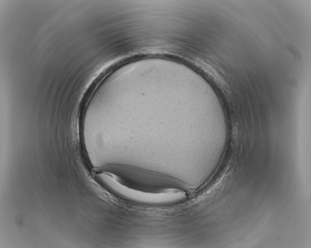 X0000110990934200907171749