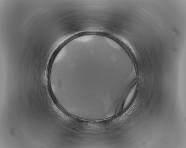 X0000110990935200907171749