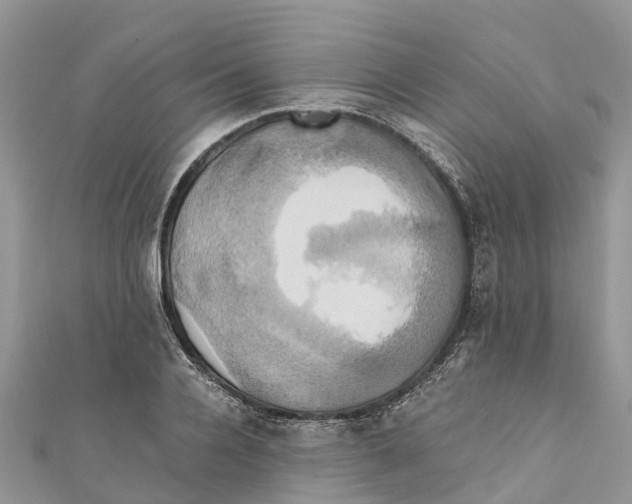 X0000110990936200907171749