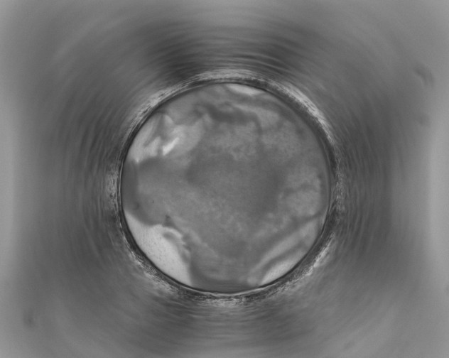 X0000110990937200907171749