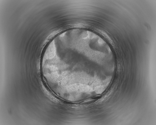 X0000110990938200907171749