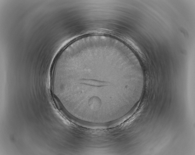 X0000110990940200907171749
