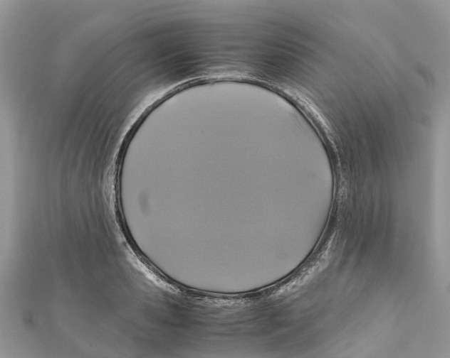 X0000110990941200907171749