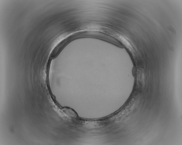 X0000110990944200907171749