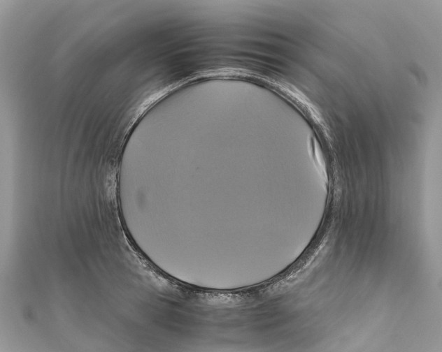X0000110990945200907171749