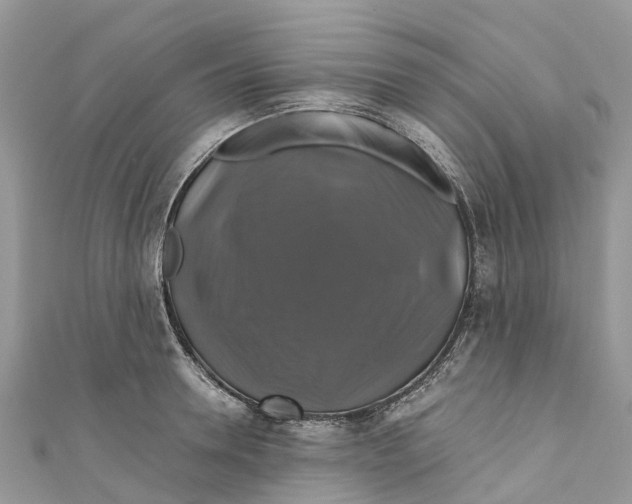 X0000110990946200907171749