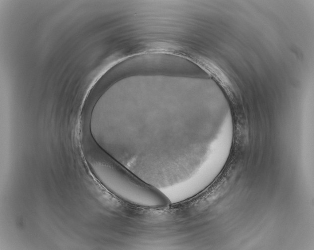X0000110990948200907171749