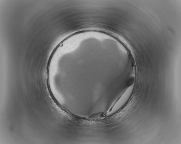X0000110990951200907171749