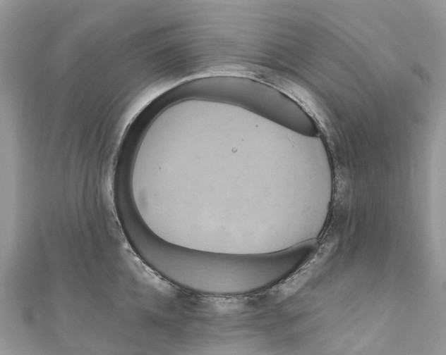 X0000110990952200907171749