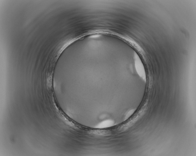 X0000110990953200907171749