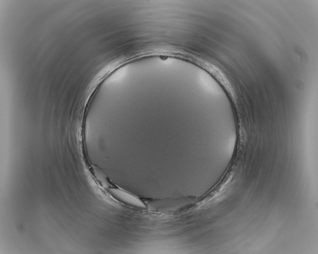 X0000110990954200907171749