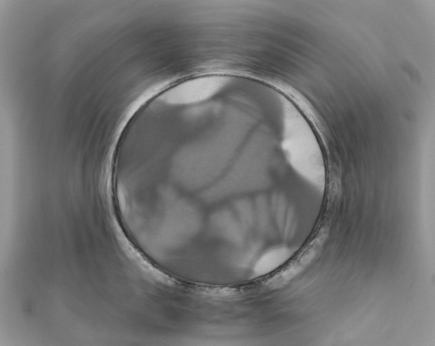 X0000110990957200907171749