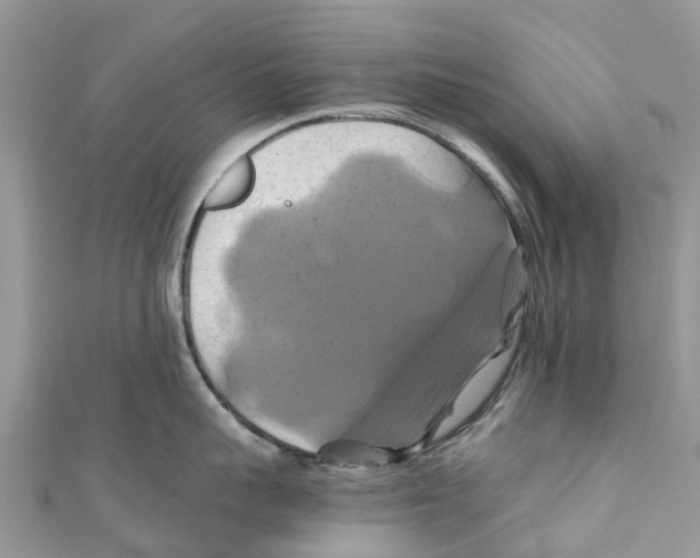 X0000110990959200907171749