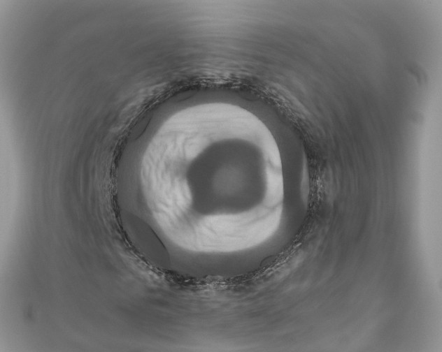 X0000110990961200907171749
