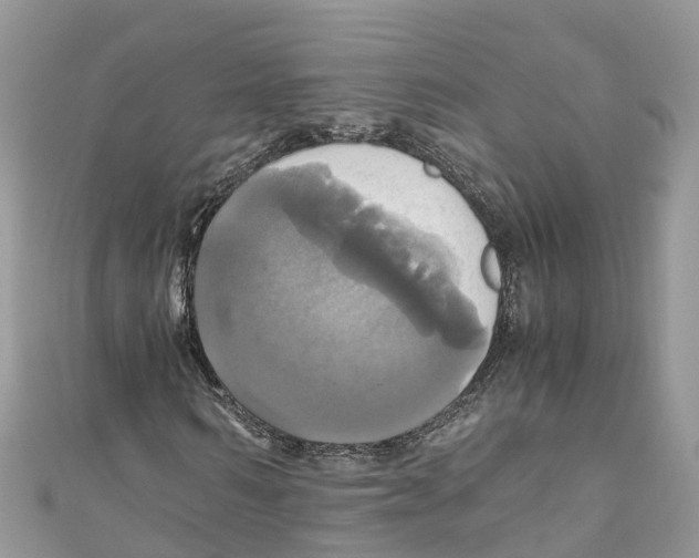 X0000110990962200907171749