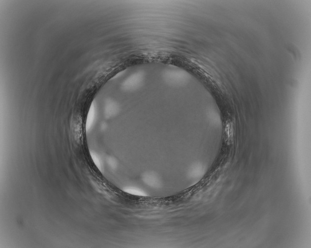 X0000110990963200907171749