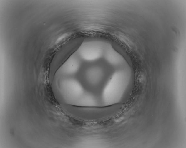 X0000110990965200907171749
