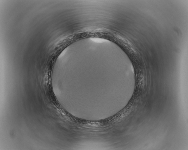 X0000110990966200907171749
