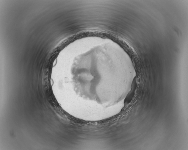 X0000110990968200907171749