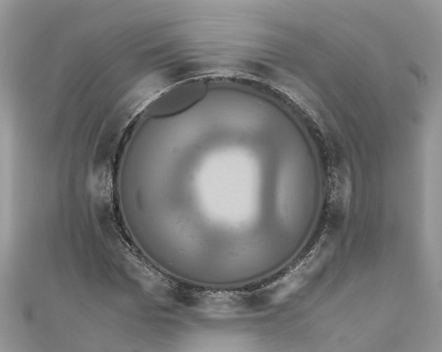 X0000110990969200907171748