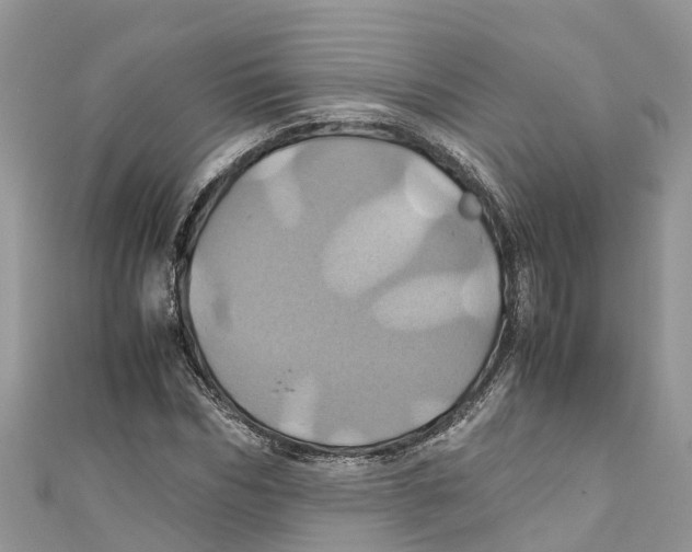 X0000110990970200907171748