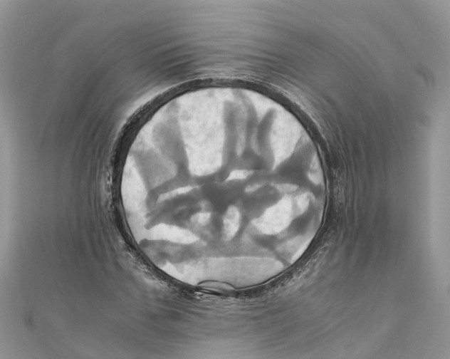 X0000110990971200907171748