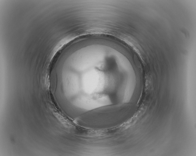 X0000110990973200907171748