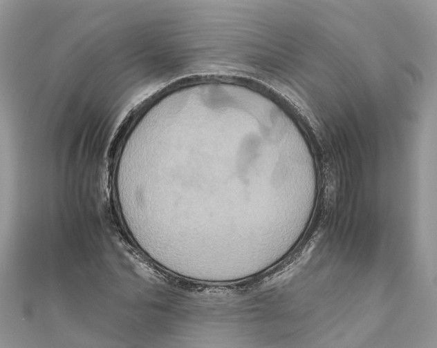 X0000110990974200907171748