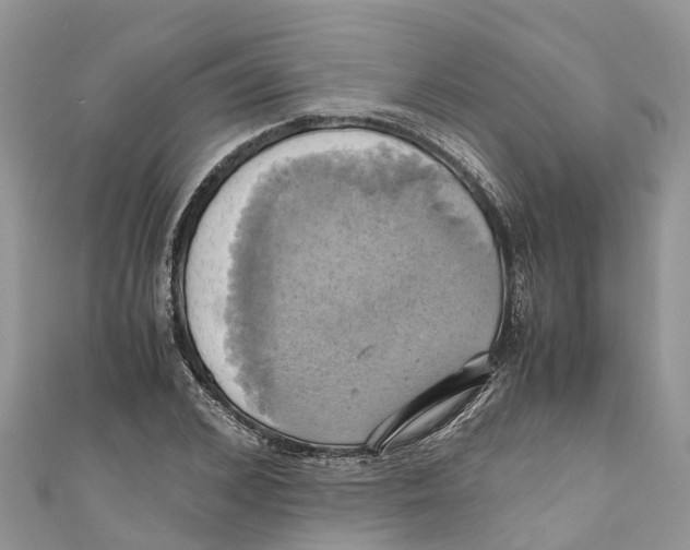 X0000110990976200907171748