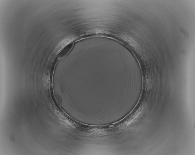 X0000110990977200907171748