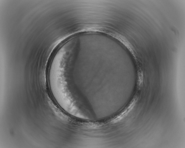 X0000110990980200907171748