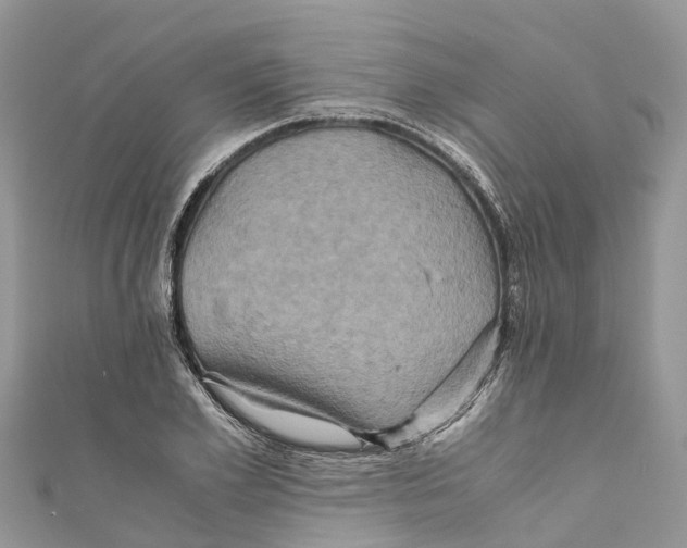 X0000110990981200907171748