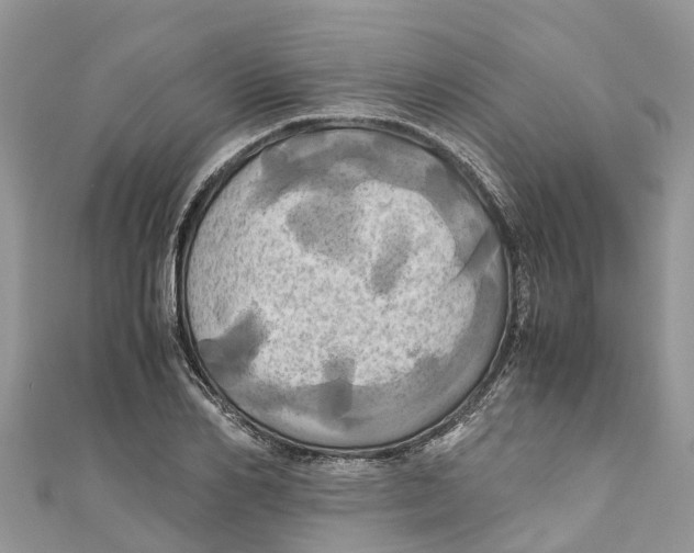 X0000110990982200907171748