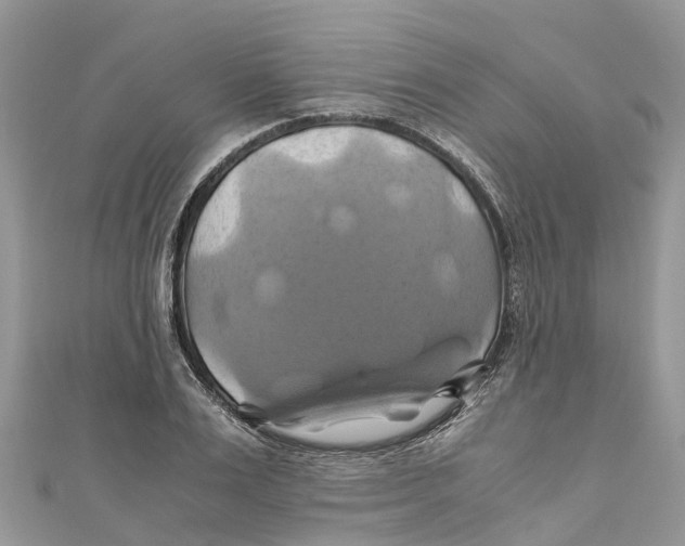X0000110990983200907171748