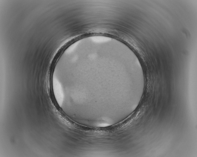 X0000110990984200907171748