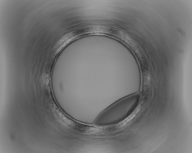 X0000110990985200907171748