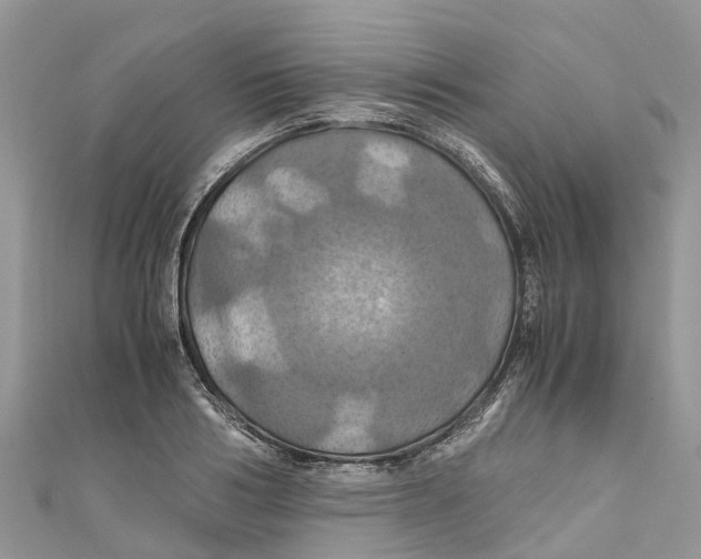 X0000110990986200907171748