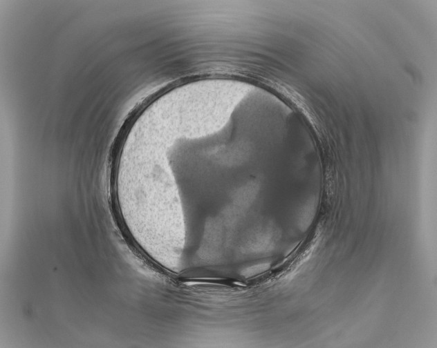 X0000110990987200907171748