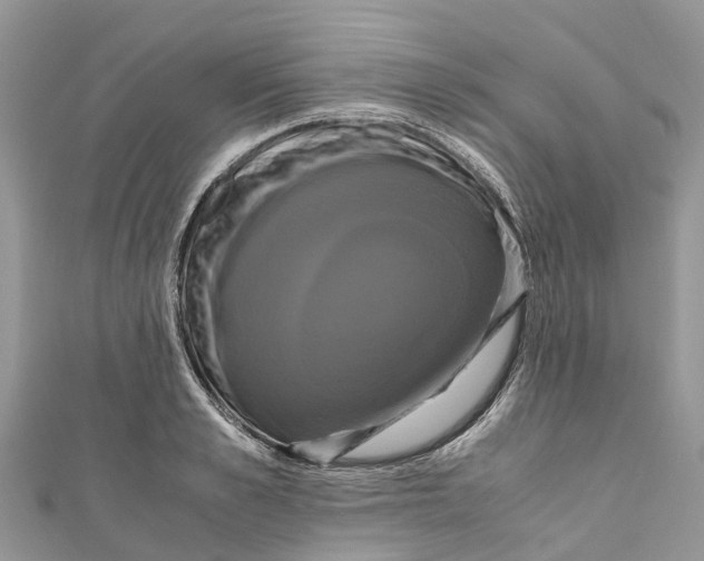 X0000110990989200907171748