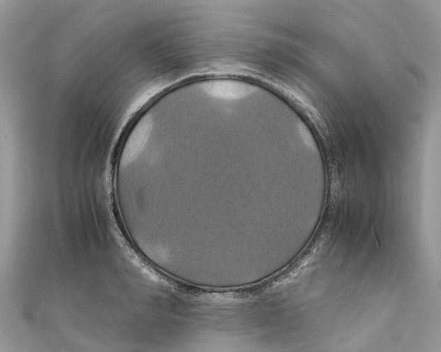 X0000110990990200907171748