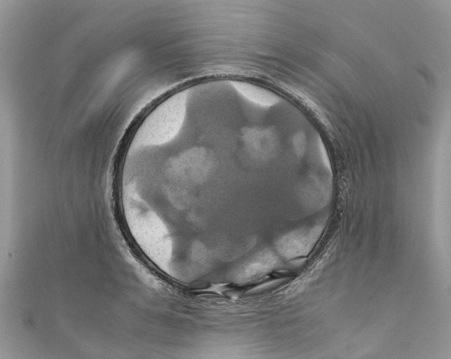 X0000110990991200907171748