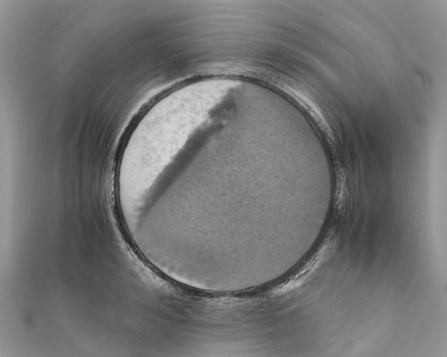 X0000110990992200907171748