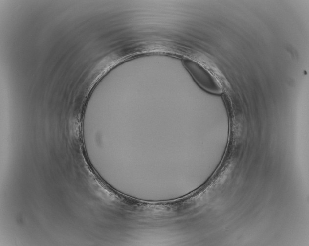 X0000110990993200907171748