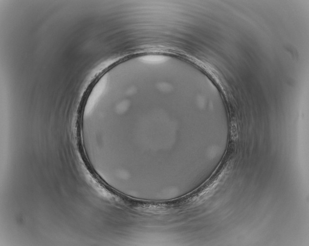 X0000110990995200907171748